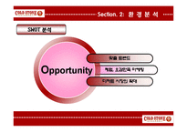 콜드스톤 기업 SWOT분석및 마케팅전략제안 PPT-9