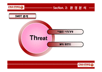 콜드스톤 기업 SWOT분석및 마케팅전략제안 PPT-10