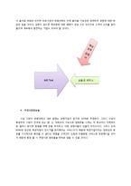 집먼지진드기제거 전문업체창업 사업계획서-11
