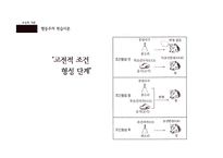 [교육학] 교육심리학의 연구 영역-학습에 대한 이해 중심으로-16
