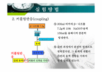 [화학공학] 오렌지Ⅱ의 합성 실험-17