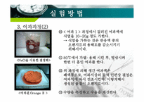 [화학공학] 오렌지Ⅱ의 합성 실험-19