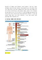 [환경학] 원자력 발전의 문제점과 신재생에너지-3