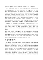 [환경학] 원자력 발전의 문제점과 신재생에너지-8
