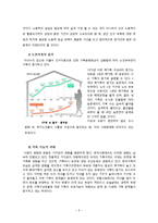 저출산의 문제점과 해결책-5