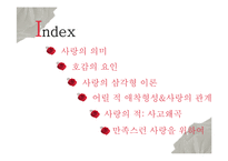 [심리학] 사랑의 심리학적 이해-2