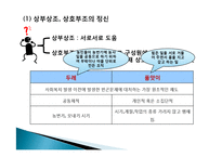 [사회복지] 사회복지실천의 이념과 철학-17