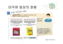 마약범죄에 대한 사회학적 연구-13