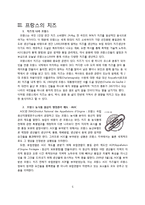 [프랑스 문화] 프랑스의 치즈-5