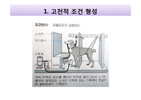 프로이트, 칼 융의 심리학과 행복학-11