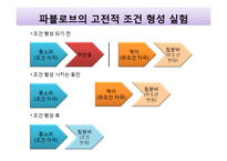 프로이트, 칼 융의 심리학과 행복학-12