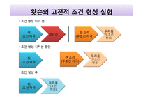 프로이트, 칼 융의 심리학과 행복학-13