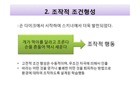 프로이트, 칼 융의 심리학과 행복학-14