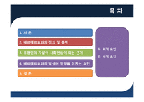 인간행동과 사회환경의 연쇄작용-베르테르효과를 중심으로-2