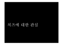 [프랑스 문화] 프랑스의 치즈-3