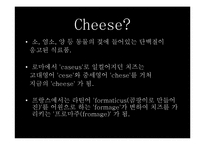 [프랑스 문화] 프랑스의 치즈-7