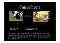 [프랑스 문화] 프랑스의 치즈-13