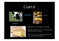 [프랑스 문화] 프랑스의 치즈-19