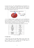 [경영학] PG사 `이니시스`의 경영전략-11