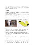 [경영학] 디아지오의 한국 다문화 극복 전략-17