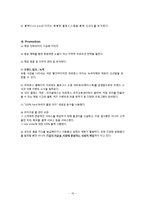 [경영학] 파파존스 마케팅 전략-16