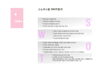 [소비자행동론] 스노우스푼 SNOWSPOON 마케팅 전략-12