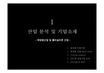 [회계학] 재무제표를 통한 태양광 산업 가치 분석 및 투자결정-2