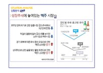 [마케팅] 카스의 SWOT, STP, 4P전략-5