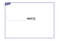[마케팅] 카스의 SWOT, STP, 4P전략-11