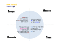 [마케팅] 카스의 SWOT, STP, 4P전략-12