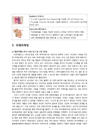 [국제경영] 오로라월드 해외진출 성공사례 분석-9