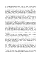 [국제경영] 오로라월드 해외진출 성공사례 분석-10