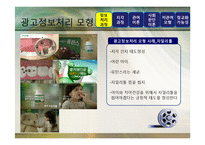 [광고론] 광고정보처리 과정-4