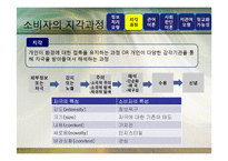 [광고론] 광고정보처리 과정-5
