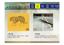 [광고론] 광고정보처리 과정-8