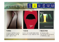 [광고론] 광고정보처리 과정-9