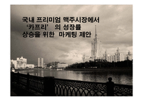 [마케팅] 프리미엄 맥주시장에서의 `카프리` 성장 마케팅 전략 제안-1