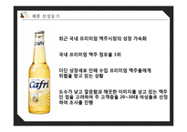 [마케팅] 프리미엄 맥주시장에서의 `카프리` 성장 마케팅 전략 제안-4