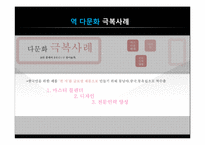 [경영학] 디아지오의 한국 다문화 극복 전략-12