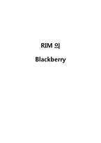 [소비자행동론] RIM 블랙베리 분석 및 전략-1