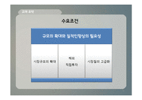 [국제경영] 바이크 튜닝샵 국제시장 진출-19