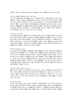 [경영전략] 도쿄 디즈니랜드의 성공요인 분석과 평가-12