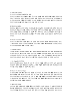 [경영전략] 도쿄 디즈니랜드의 성공요인 분석과 평가-14