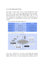 체험마케팅의 개념과 특징 및 전략적 토대 분석과 태평양 라네즈의 체험마케팅 사례 조사분석-8