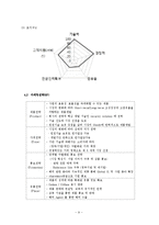 인터넷 보안서비스업체 창업 사업계획서-10