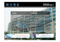 한류 열풍과 한국기업의 마케팅 성공분석(한스킨,대한항공의 사례분석)-18
