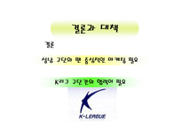 성남일화 스포츠마케팅사례분석-17