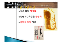 정헌배 인삼주가 기업분석,제품분석,마케팅촉진전략-5