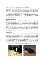 [미국 쇠고기 광우병] 발생원인, 증상, 예방방법 및 현황, 쇠고기 수입현황 및 해결방안 및 향후전망-5