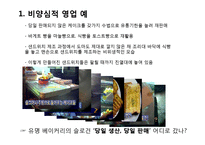 카페베네 경영 성공사례분석-11